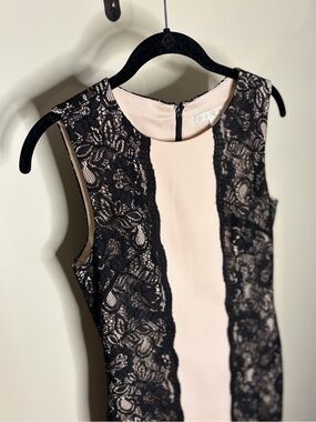 Boston Proper Blush and Black Lace Cocktail Dress #1086